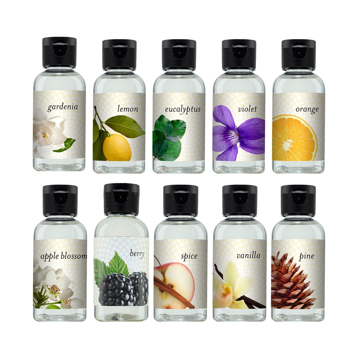 Assorted Rainbow fragrances